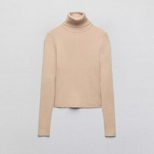 Zara Tan Turtleneck Top